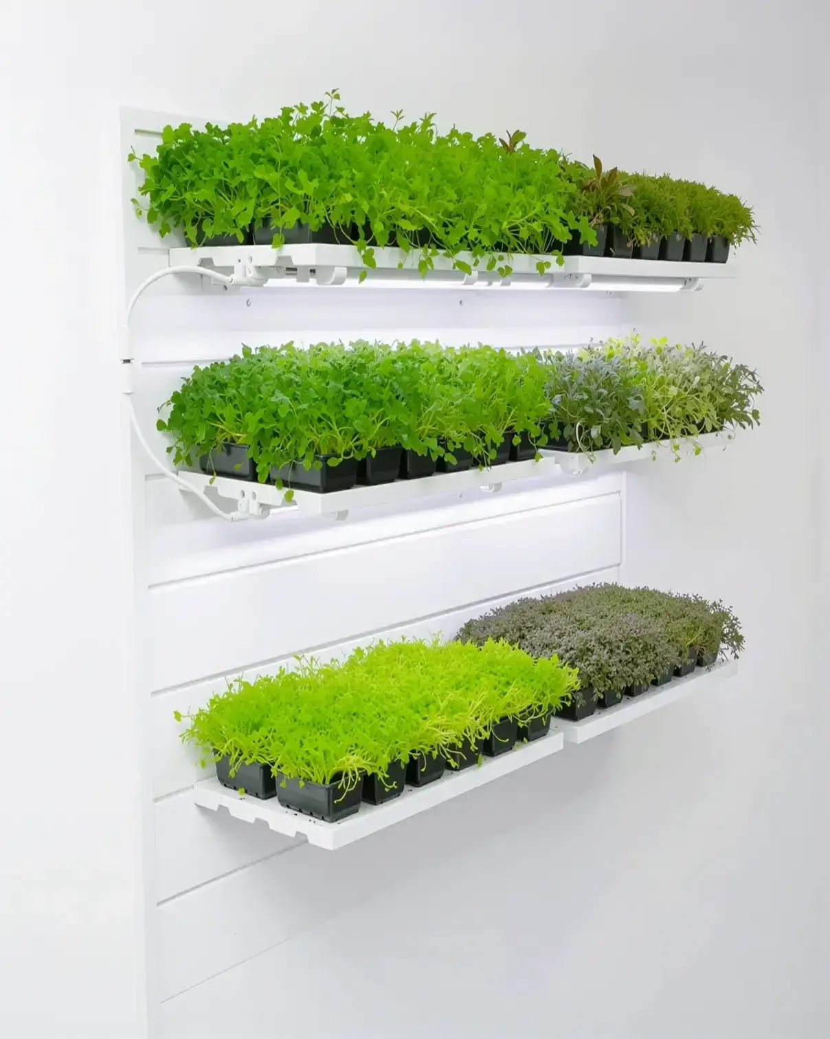 Grow Tray Shelf